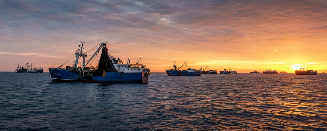 Humboldt Current Peru fishing fleet jack mackerel Trachurus murphyi SPRFMO zone